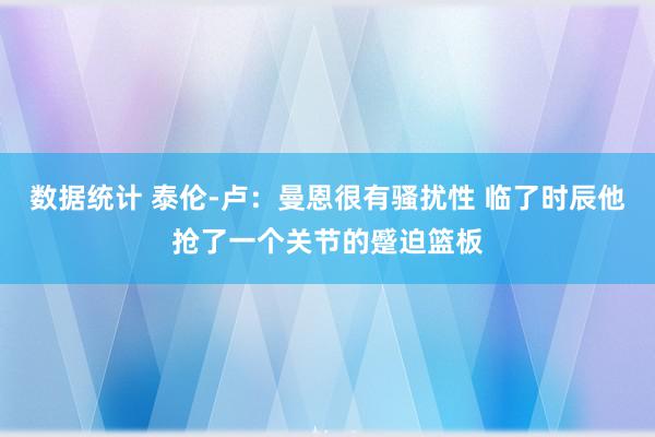 数据统计 泰伦-卢：曼恩很有骚扰性 临了时辰他抢了一个关节的蹙迫篮板