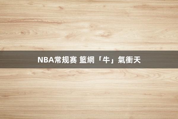 NBA常规赛 籃網「牛」氣衝天