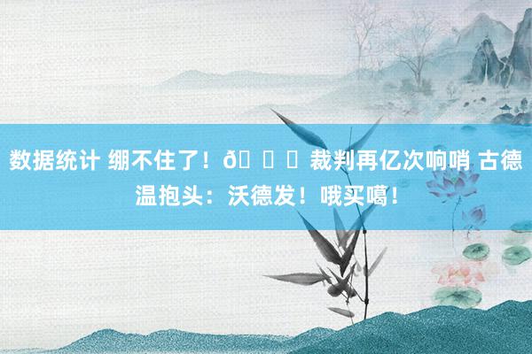 数据统计 绷不住了！😂裁判再亿次响哨 古德温抱头：沃德发！哦买噶！