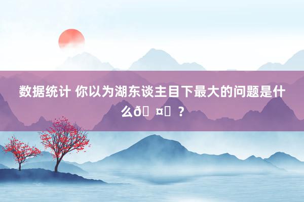 数据统计 你以为湖东谈主目下最大的问题是什么🤔？