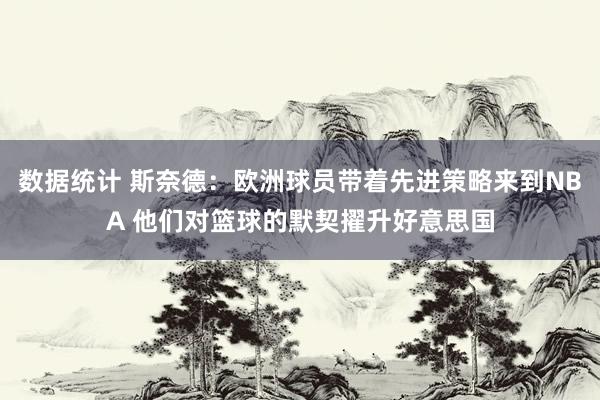 数据统计 斯奈德：欧洲球员带着先进策略来到NBA 他们对篮球的默契擢升好意思国