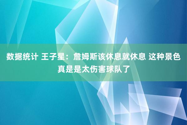 数据统计 王子星：詹姆斯该休息就休息 这种景色真是是太伤害球队了